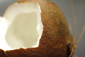 Coconut