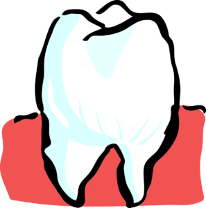 You’ve had a Root Canal Treatment – Now What? You’ve had a Root Canal Treatment – Now What?